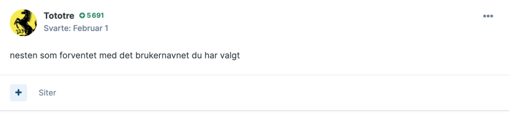 Skjermbilde 2024-05-19 kl. 21.04.01.png