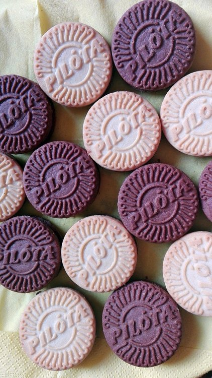 Pilota-Keksz-Pilot-Cookies.thumb.jpg.1e0e778d864027c3d42681082646dc98.jpg