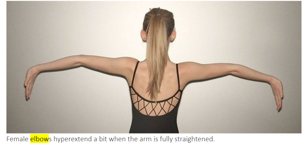 image.thumb.png.62dda5e38f2956c1358706aed673232e.png