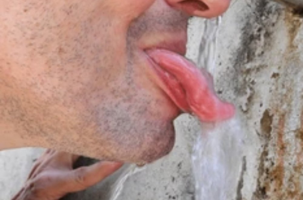 EF0B5CC2-410D-46B5-8067-FFD17151073B.thumb.jpeg.25b97bb9a811d792f019367f3d318417.jpeg