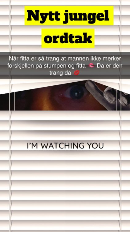 IMG_2569.thumb.jpeg.9bc86d76b4b2babfda055e76ab106bdd.jpeg