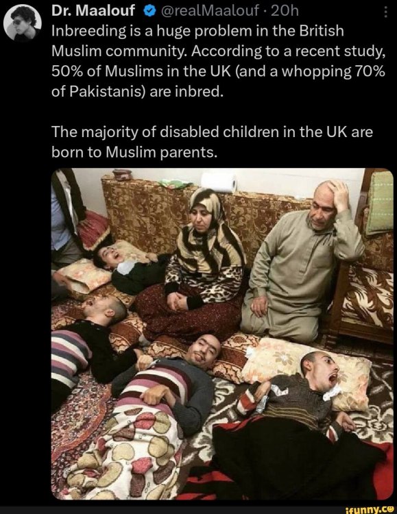 Muslime9f66dbd0a3557aca36bf10001bb43def94e005a2112ee4f667068e5e3810a29_1.thumb.jpg.6e98eb9f4d8ecfc1a8b97a8e8dcca348.jpg