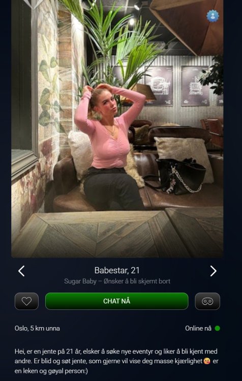 Skjermbilde.JPG