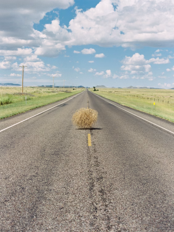 tumbleweed.avif